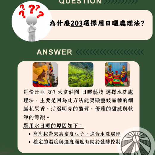 哥倫比亞 203 天堂莊園